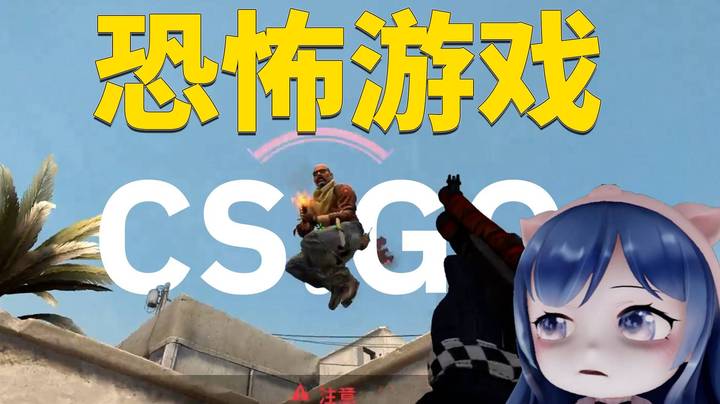 【CSGO】 这游戏真像个恐怖游戏！