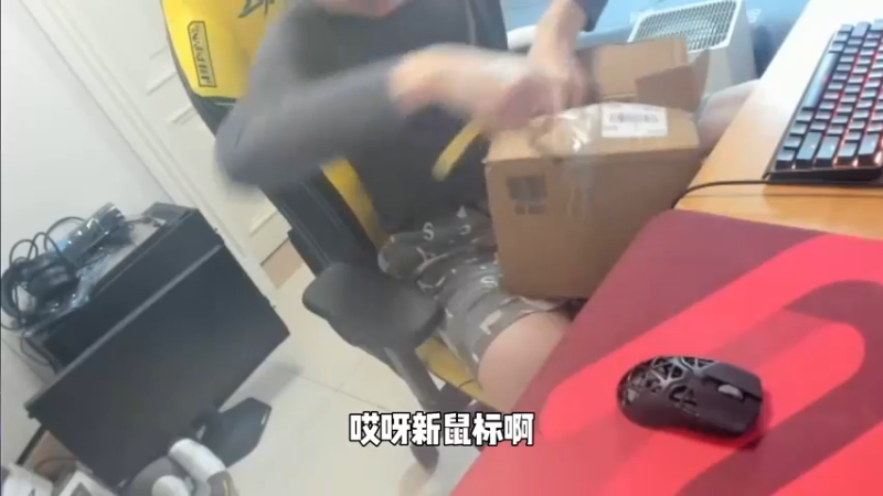 雷蛇毒蝰迷你SE开箱！