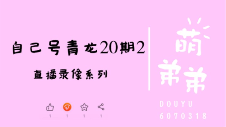 自己号青龙20期2