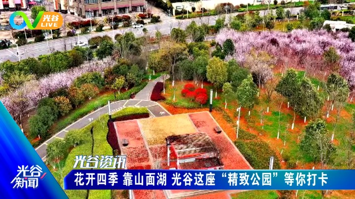 20230407光谷新闻周五版
