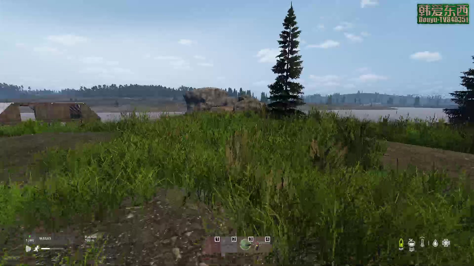 【2023-04-06 18点场】dayz韩爱东西：纳马斯克荒岛余生