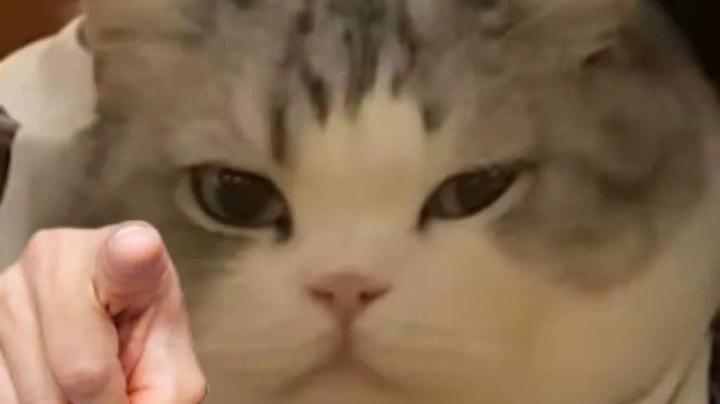 【2023-4-8 23点场】格诺天天开心:峡谷食堂巅峰厨师最懂直播的男人