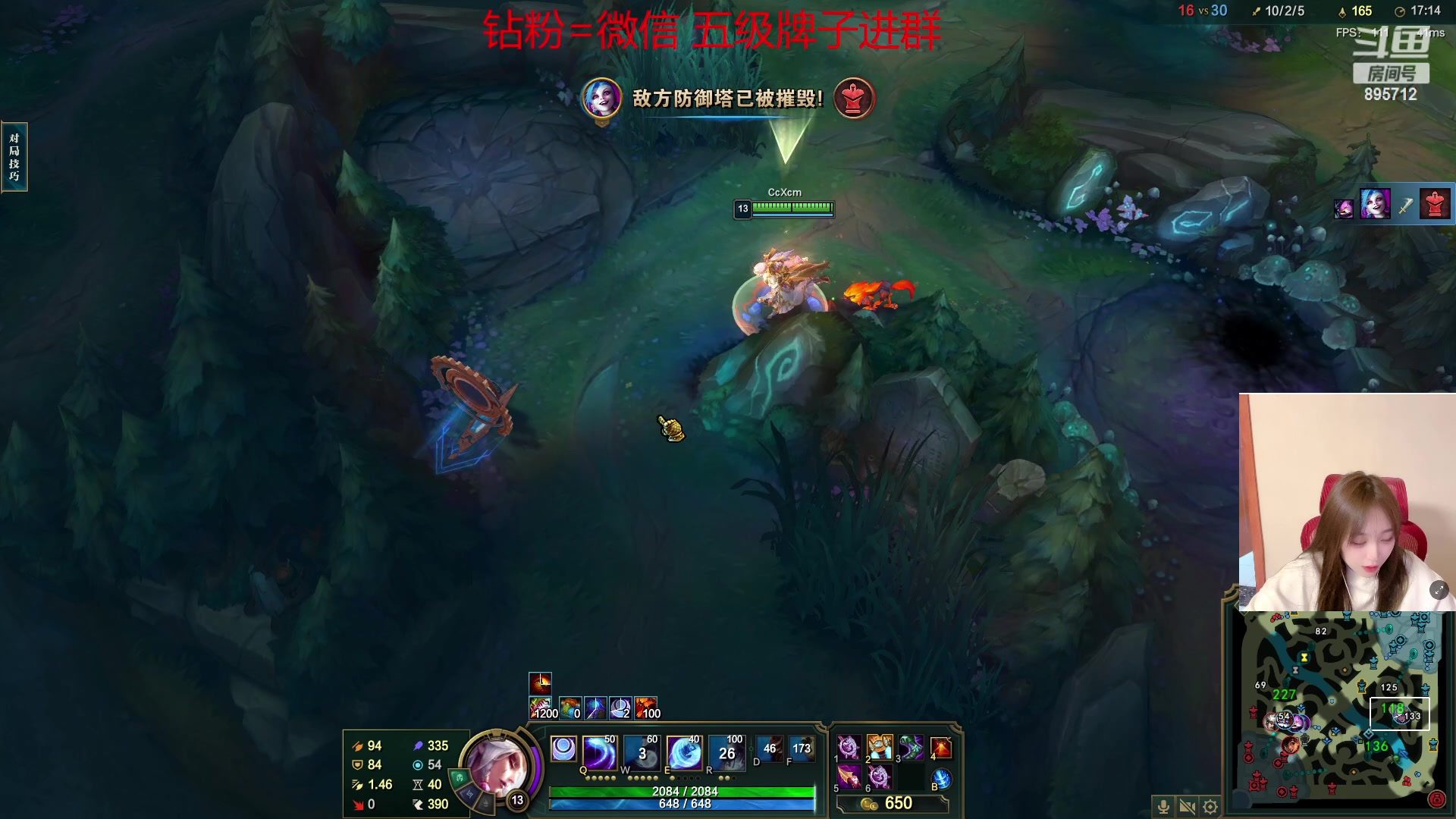 跟沫子豚豚一起玩~