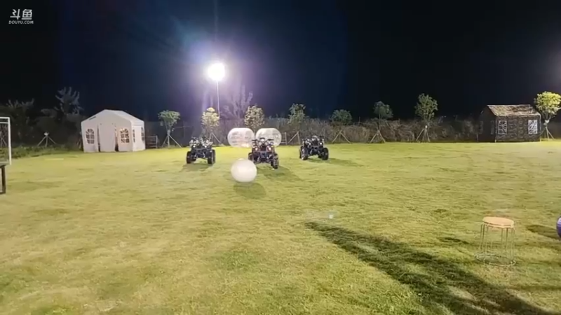 强哥说表演开始，结果两只狗开始表演