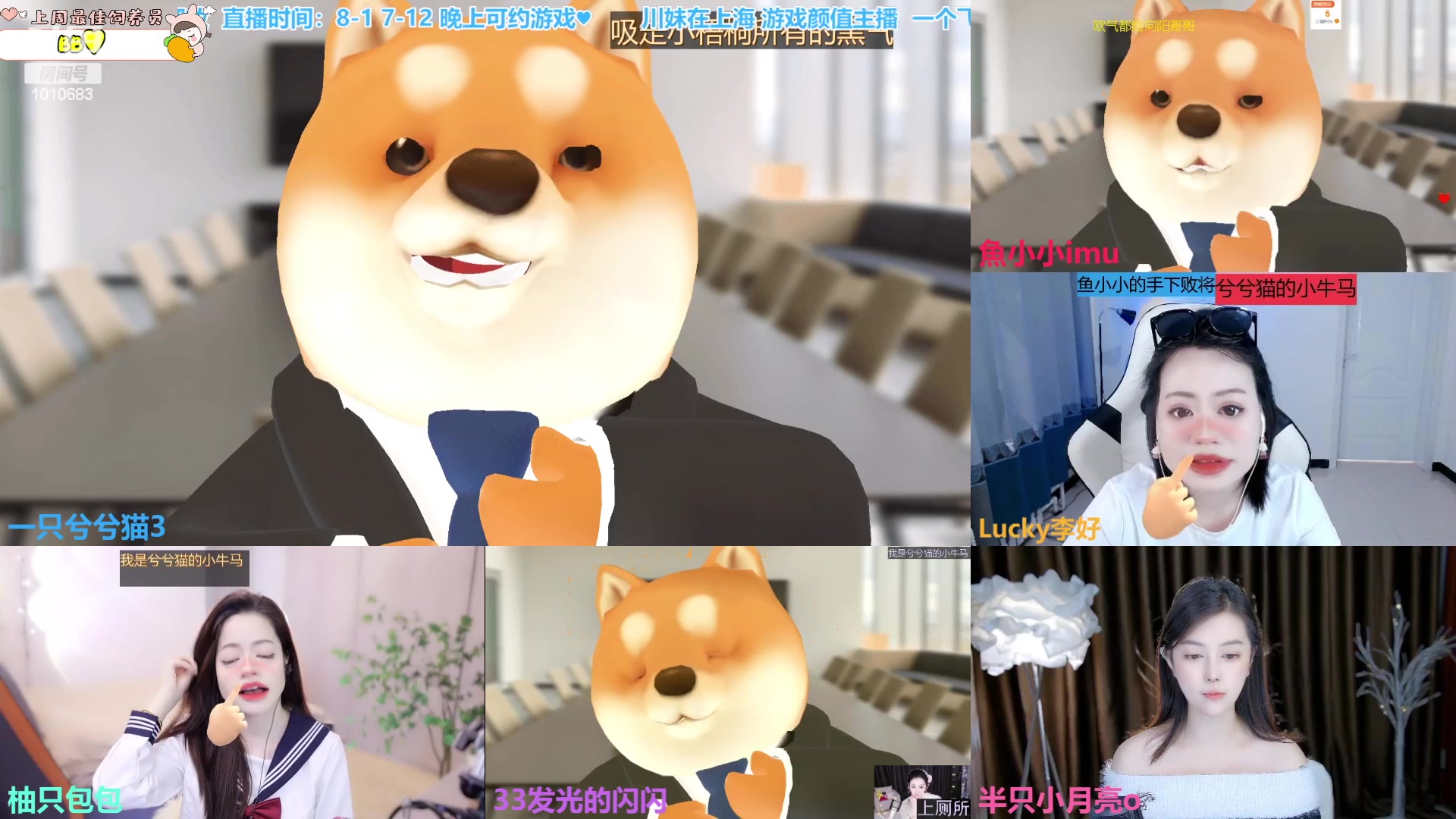 【2023-04-07 13点场】一只兮兮猫3：（等光）川妹在上海