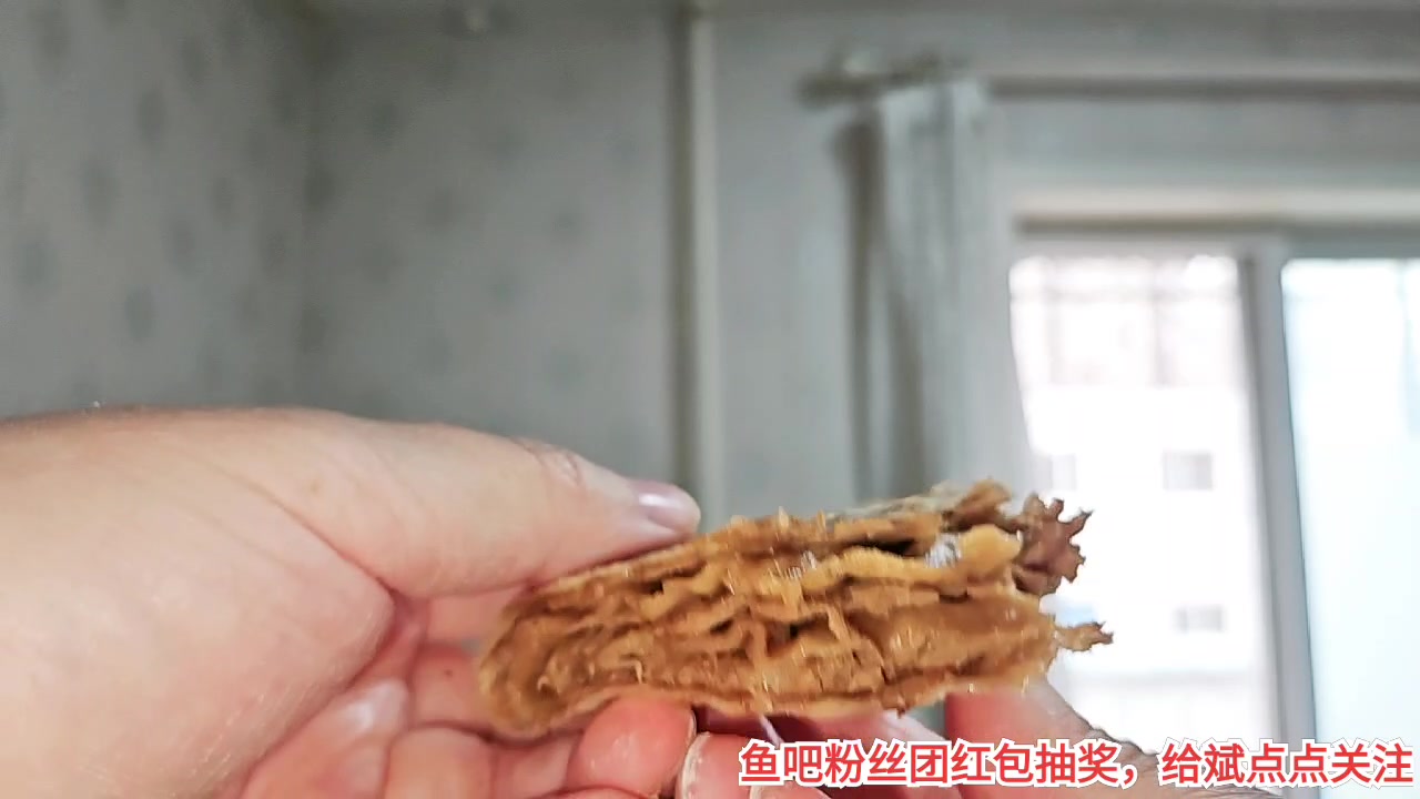 【2023-4-10 12点场】o北京斌子o:斌氏肉饼。