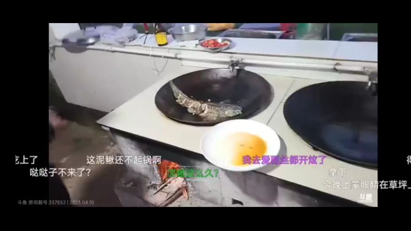 美女煎鱼很不错啊，大家说可惜了黑鱼