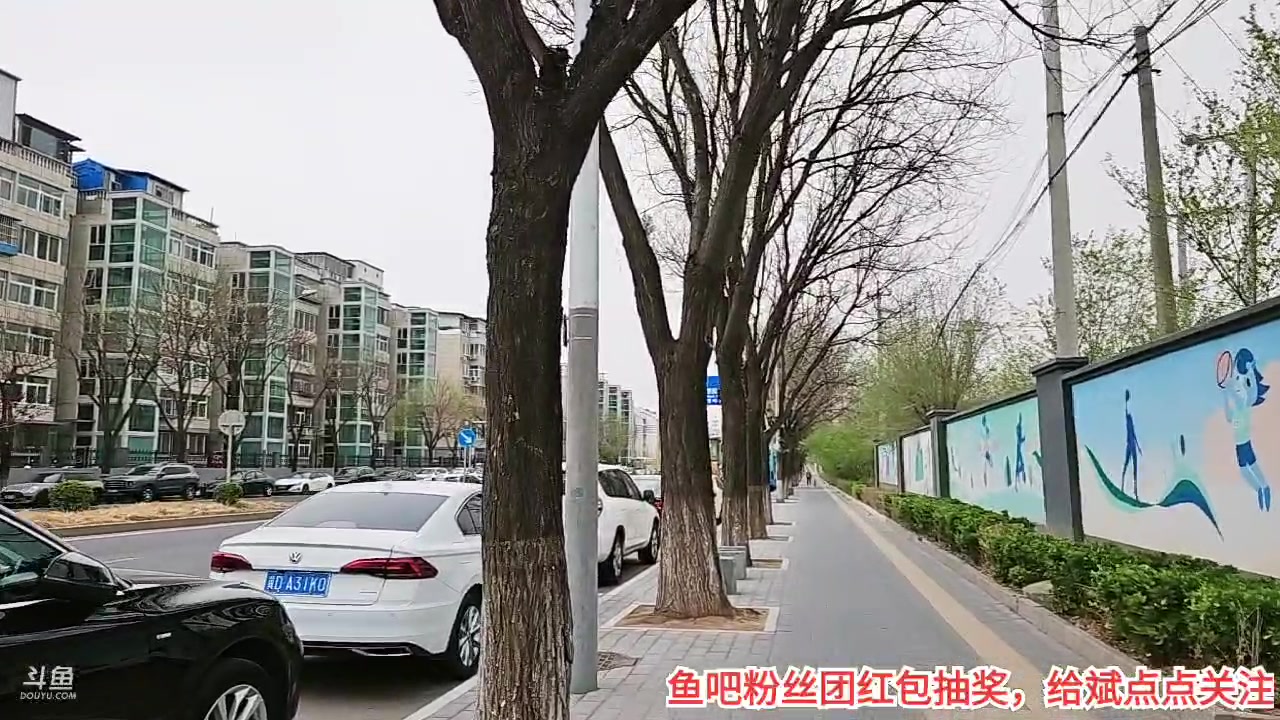 【2023-4-10 13点场】o北京斌子o:斌氏肉饼。