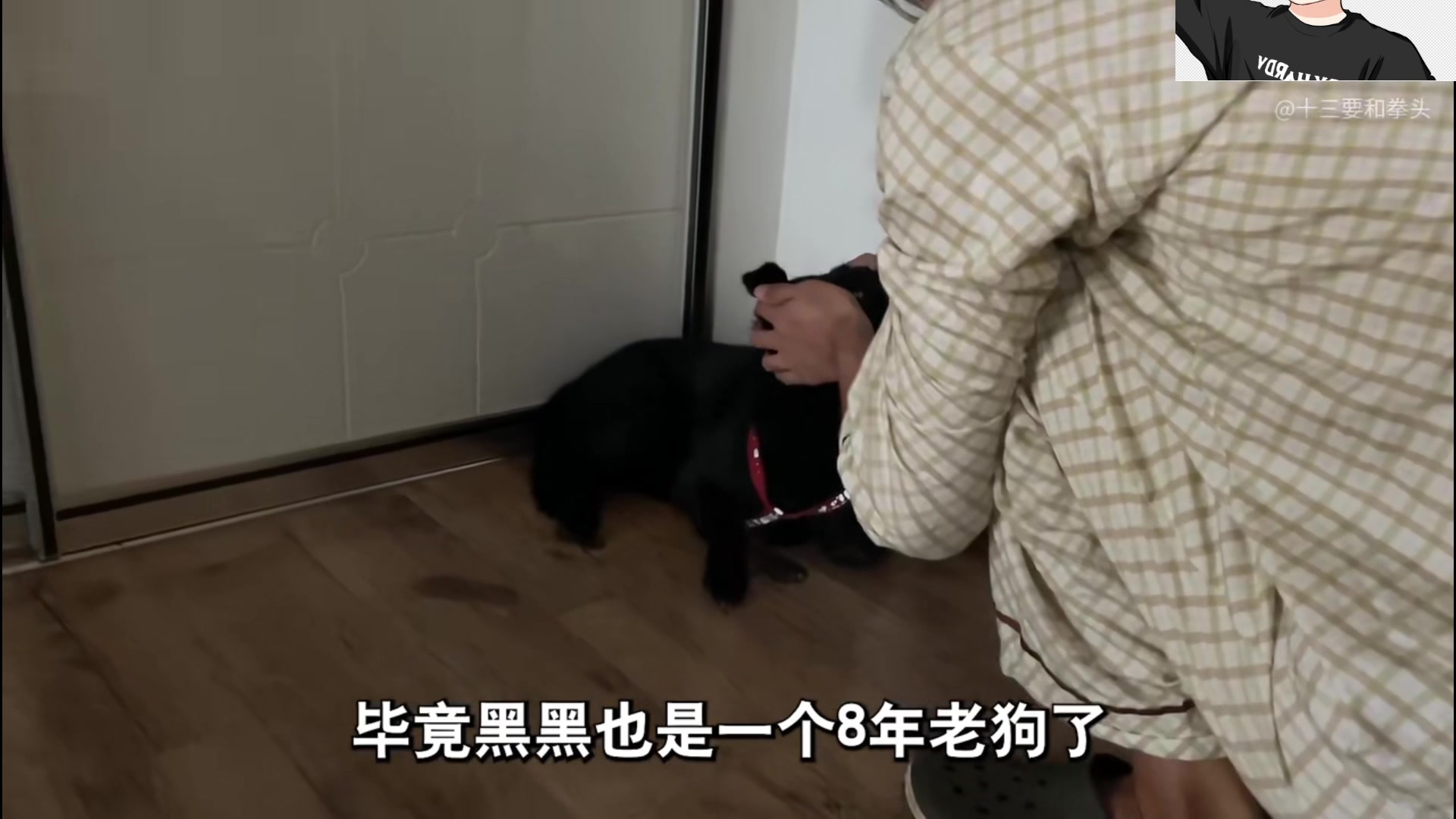 【2023-04-10 00点场】主播帝王：731252 恢复正常直播