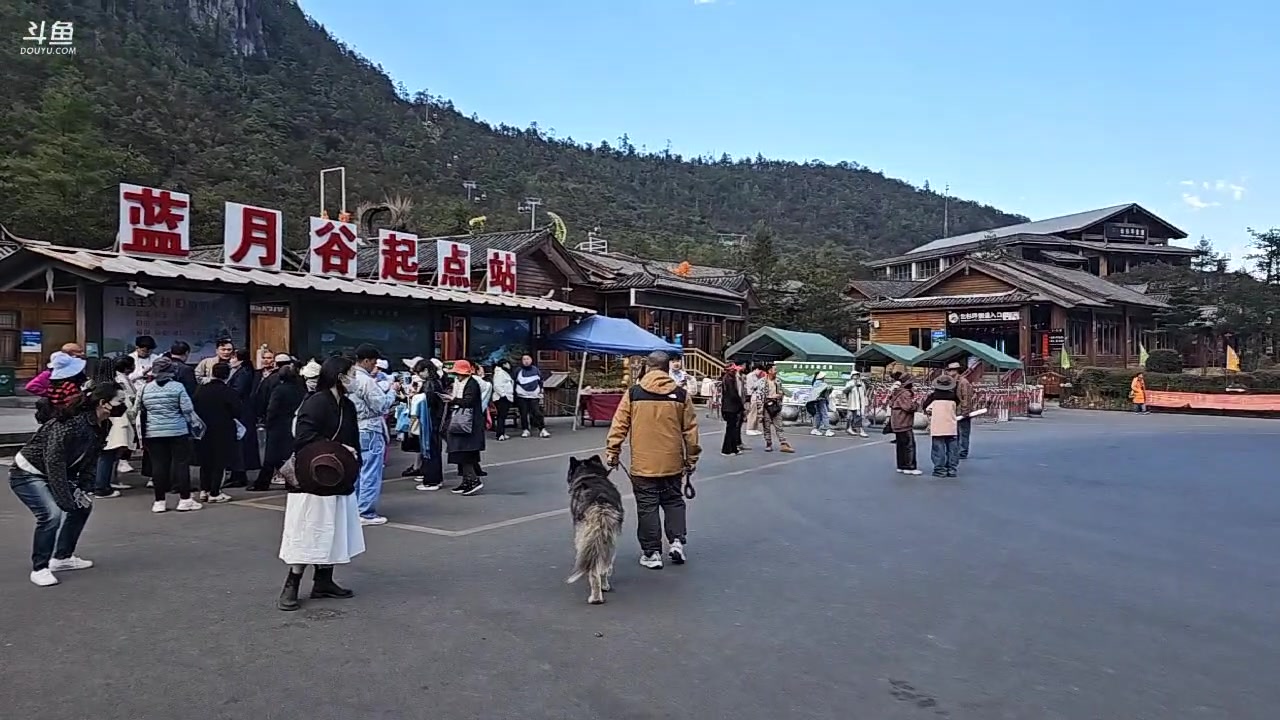 【2023-04-10 16点场】蓝战非OvO：丽江真好玩啊啊啊啊