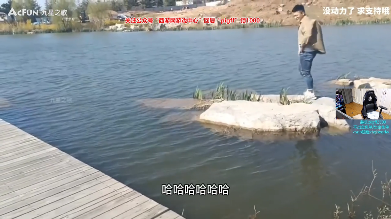 我在斗鱼看pigff直播热门游戏
