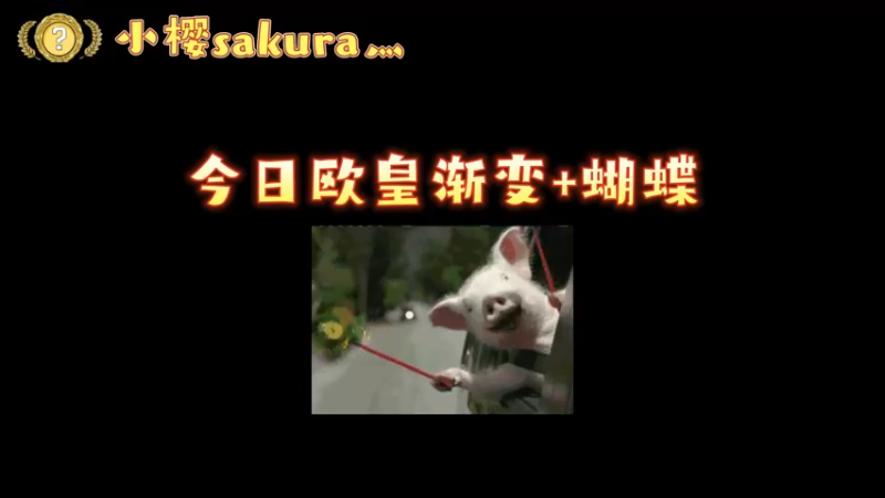 【小樱开箱】昨天这俩刀也太好看了吧