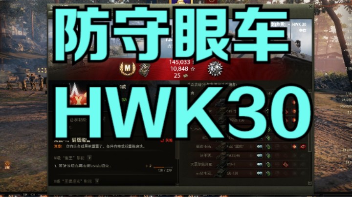 幽霊：177：防守眼车HWK30#坦克世界