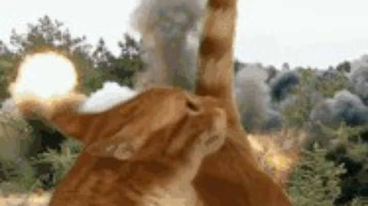 寄，布响丸辣！