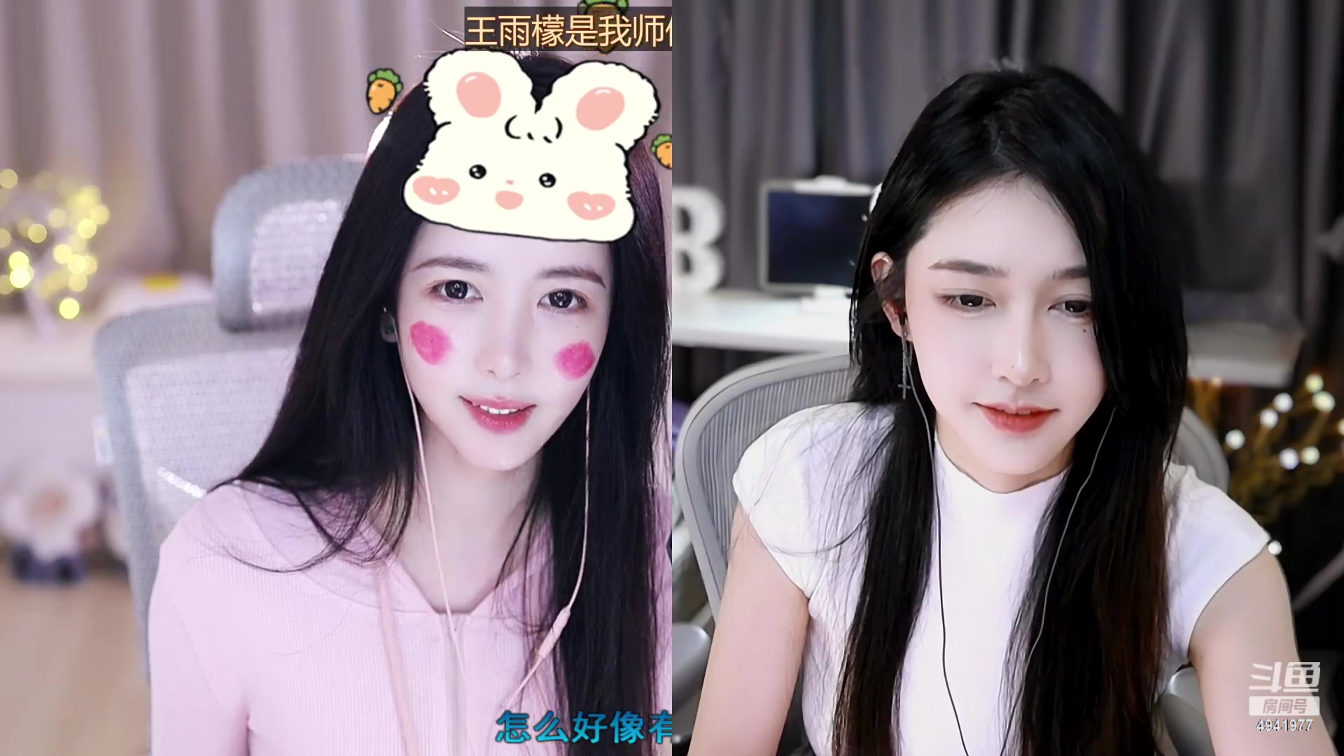 【2023-04-13 01点场】晒网的慧儿呀：快乐的小狗才会被偏爱呀