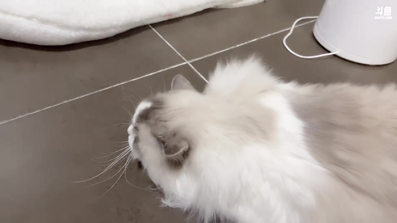 【2023-04-12 22点场】燕徊硯：阿瑟：南京几点了？