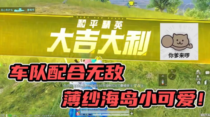 这配合说成职业车我都信！