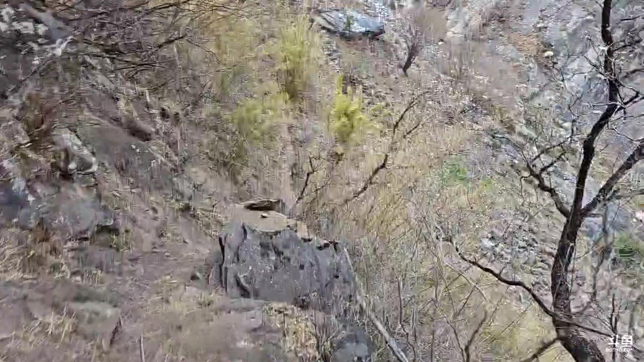 【2023-04-13 15点场】蓝战非OvO：今天徒步虎跳峡
