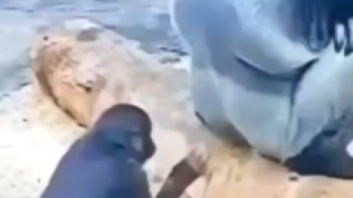 麋鹿Elko发布了一个斗鱼视频2023-04-15