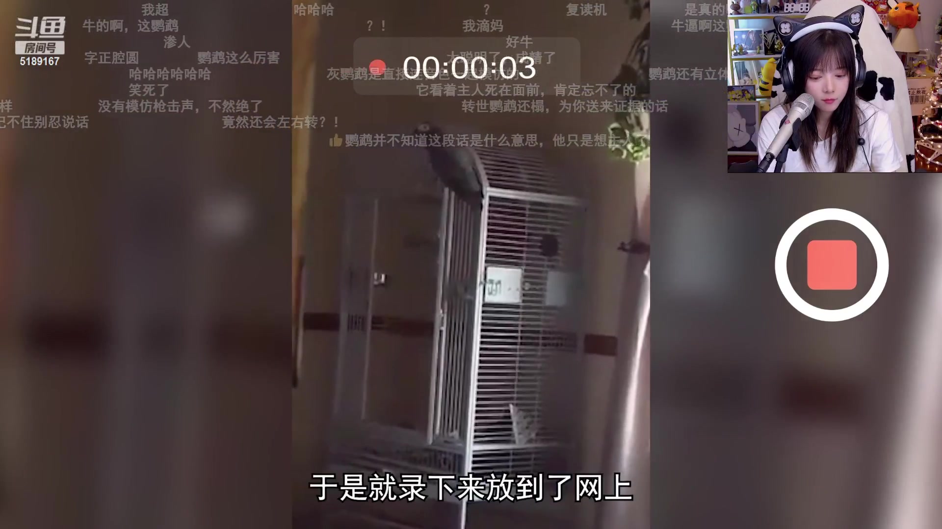 【2023-04-14 22点场】骆歆冲冲冲：小骆：钻粉狂欢！嗷呜~