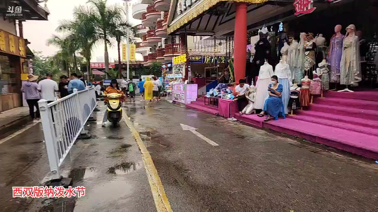 【2023-04-13 17点场】叶子户外：《纪实直播》西双版纳→越南站