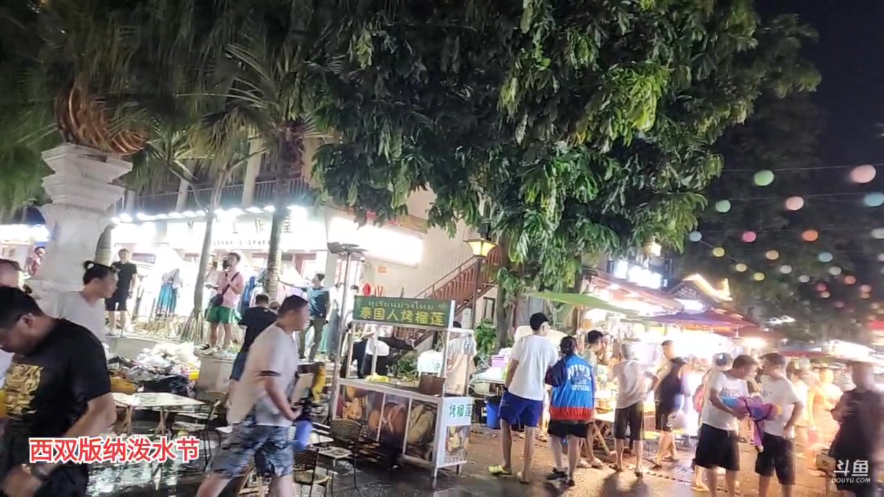 【2023-04-13 21点场】叶子户外：《纪实直播》西双版纳→越南站