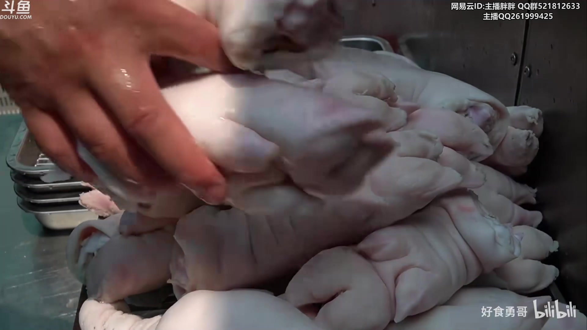 【2023-04-17 01点场】胖胖灬：胖胖OB：JD BLG 韩服练习练习