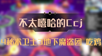 【不太嘻哈的Ccj】4秘术卫士3地下魔盗团 吃鸡