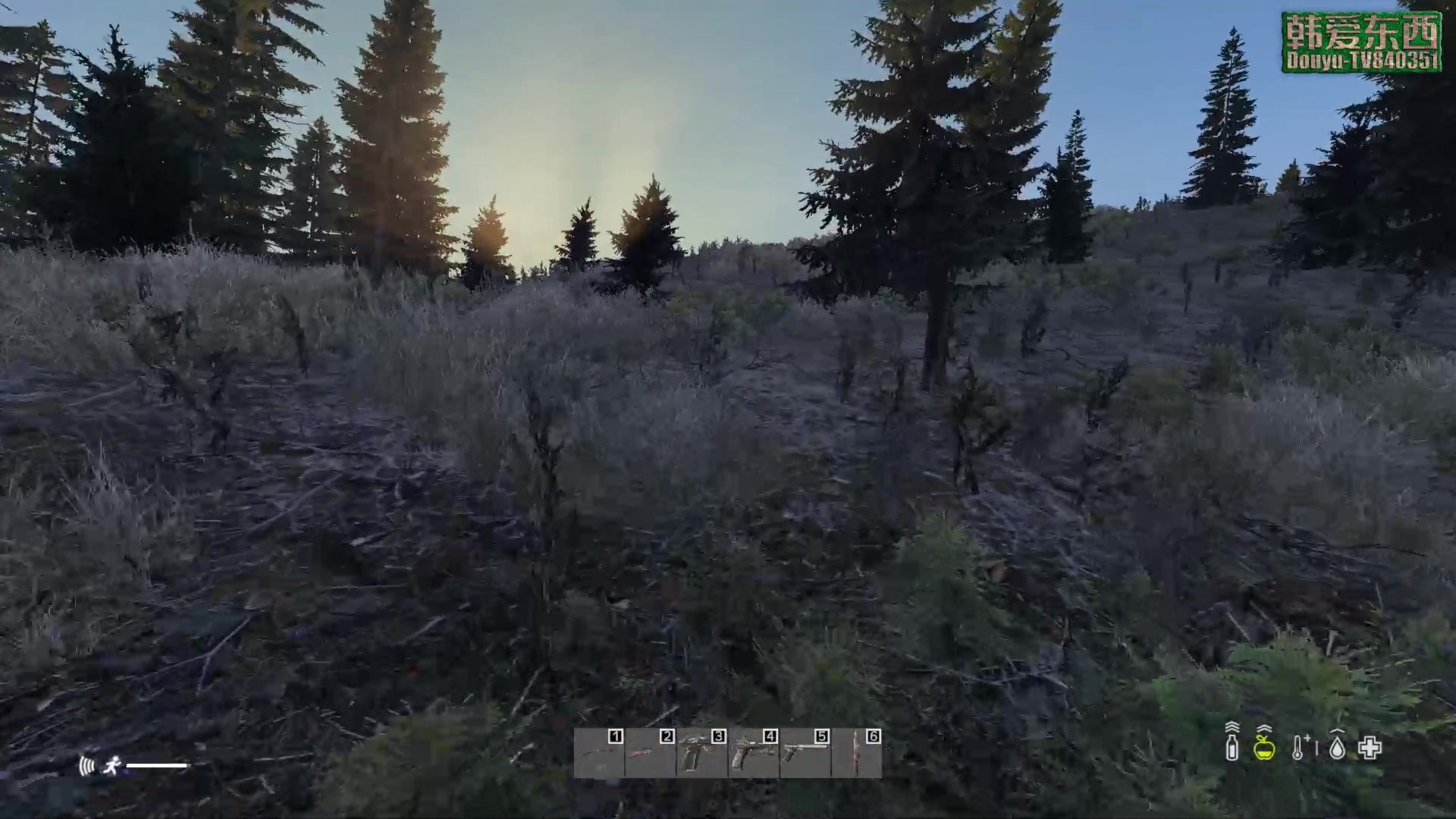 【2023-04-17 15点场】dayz韩爱东西：纳马斯克荒岛余生