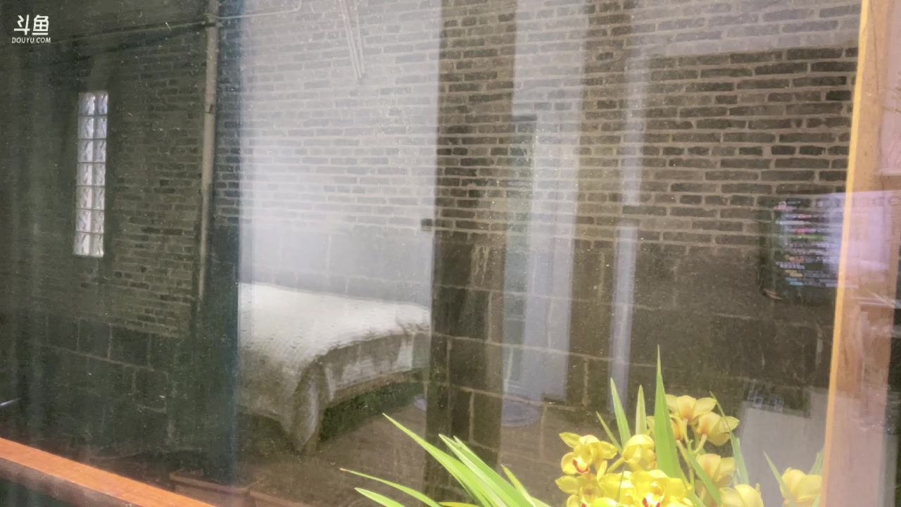 【2023-04-16 22点场】秀才冷男：遇见Day4腾冲北海湿地总决赛