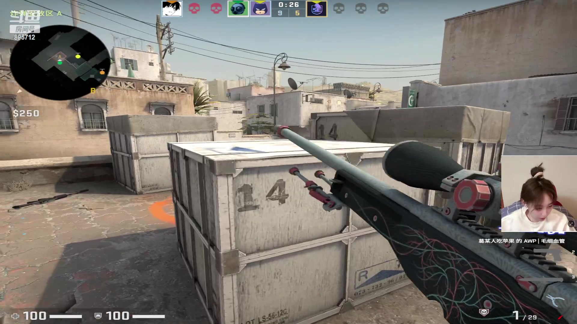 【2023-04-18 02点场】一只蘇l：蘇宝：来吧！一起练枪！