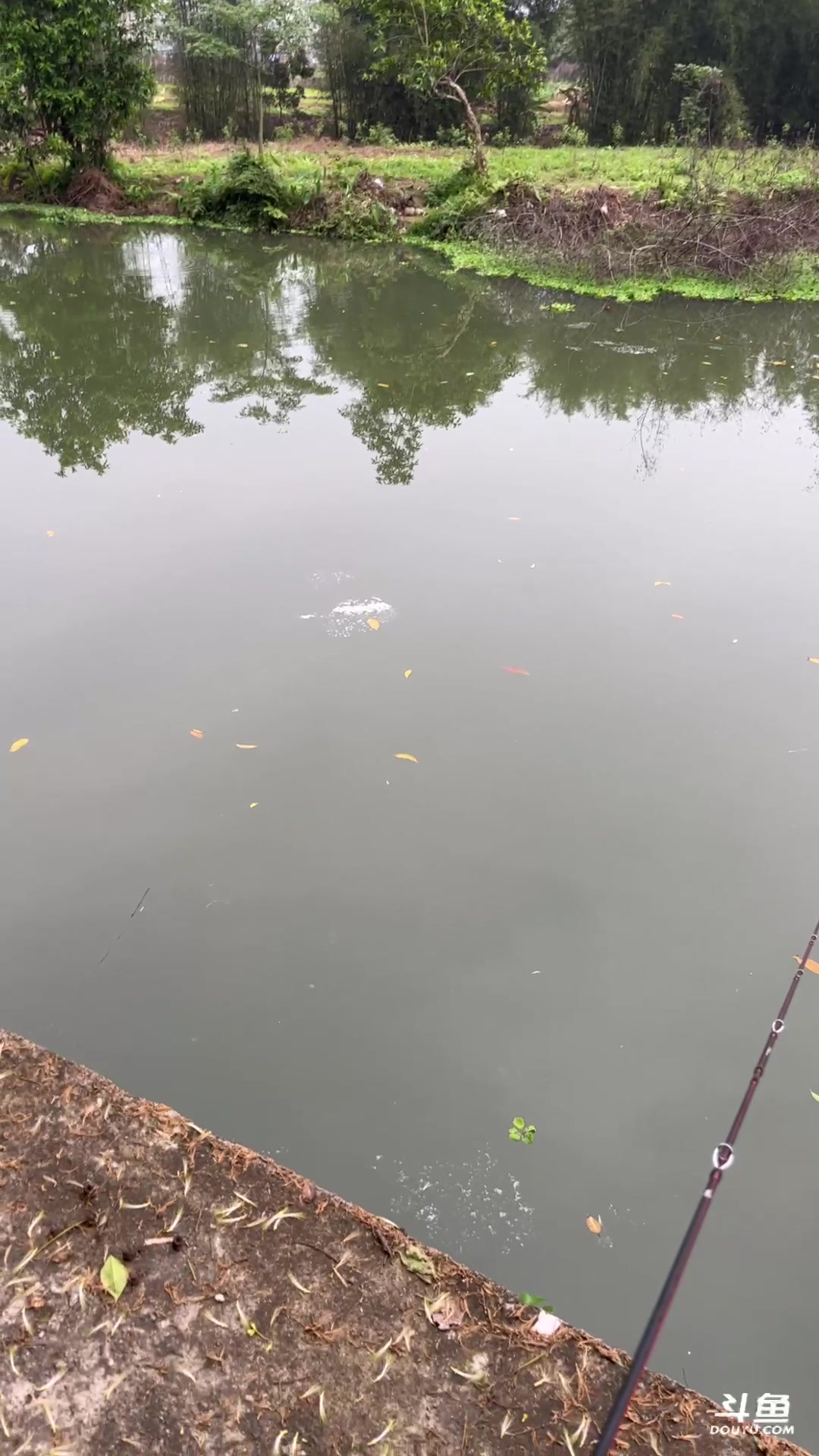 【2023-04-17 17点场】小徐813：千场7.0 猛男 了解一下