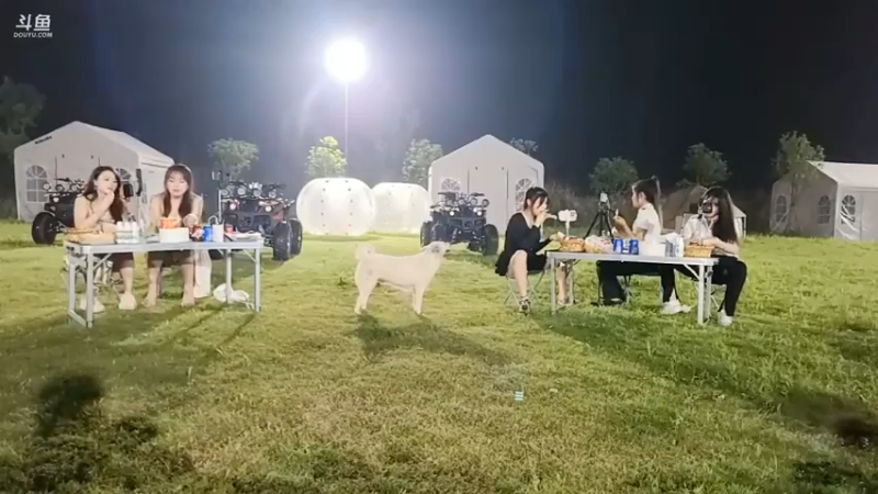 肖哥想邀请女主播一起跳舞