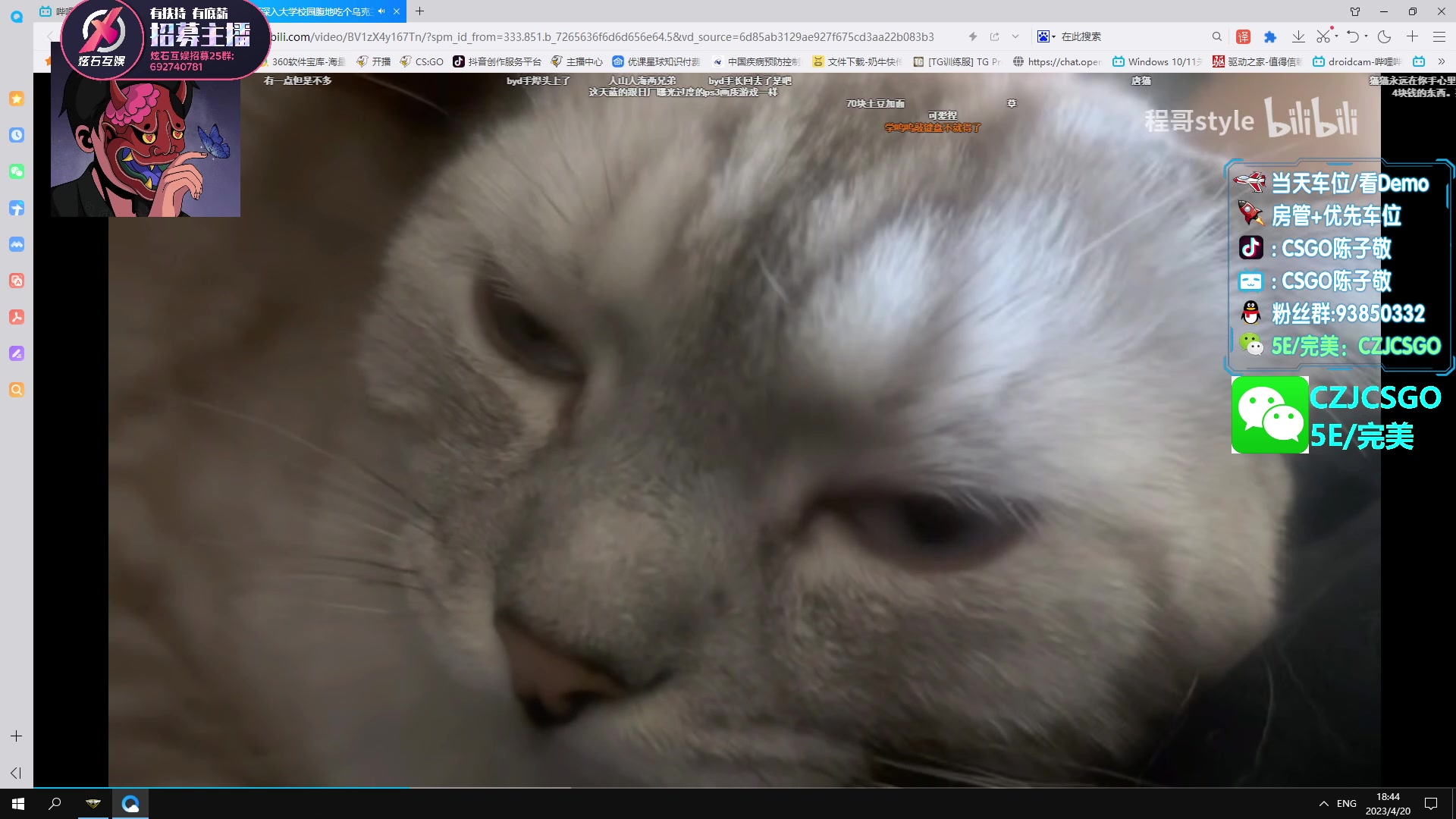 【2023-04-20 18点场】陈子敬丶：【陈子敬】先上上分再完美开车