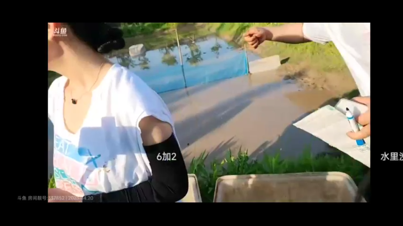 美女比赛抓黄鳝甲鱼，圆总和鱼宝宝不分伯仲啊