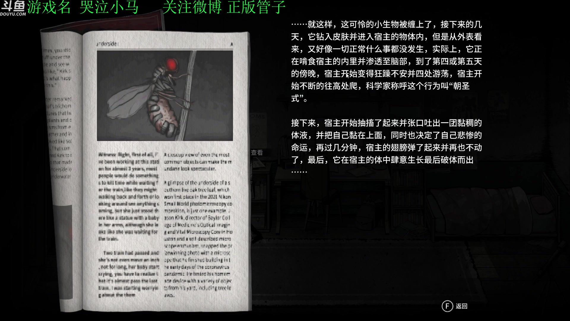【2023-04-20 15点场】正版管子：【管子】哭泣小马 另类高能搞笑主播