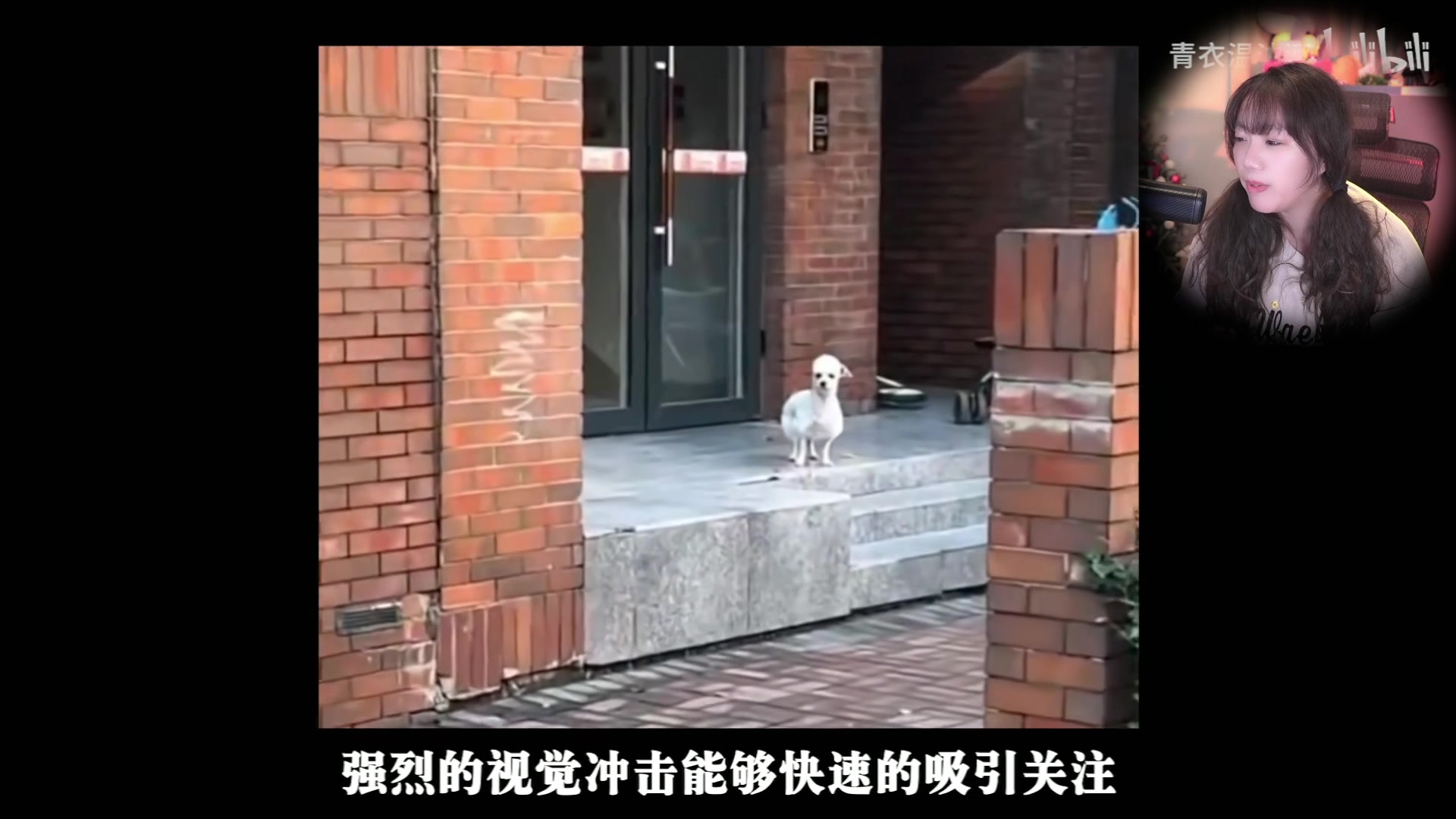 【2023-04-20 20点场】甜心战士：吃吃看看美滋滋~