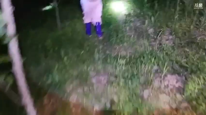 肖哥和女主播走路，开始走了