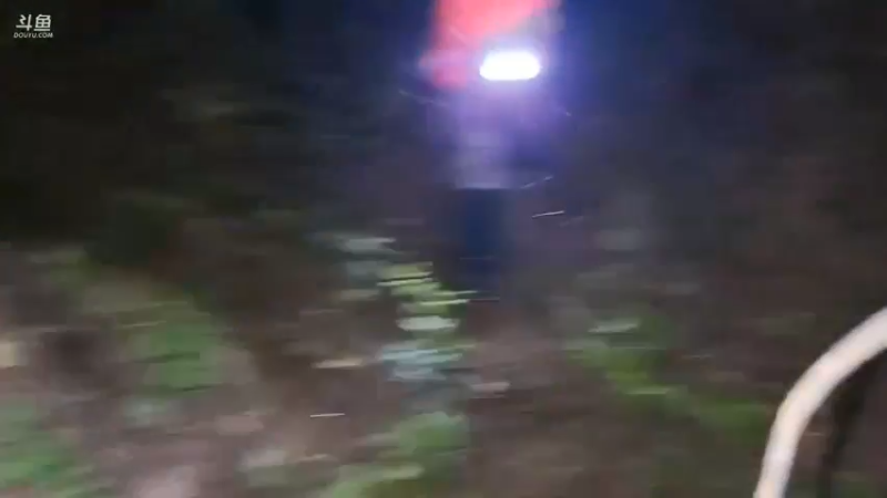 肖哥和女主播走夜路