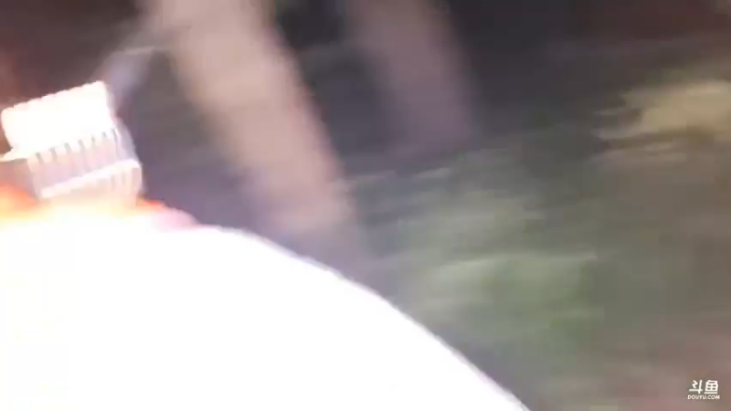 强哥突然出现，大家以为是野猪