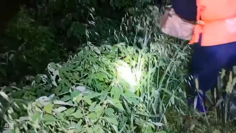 肖哥本来藏起来，结果女主播不怕