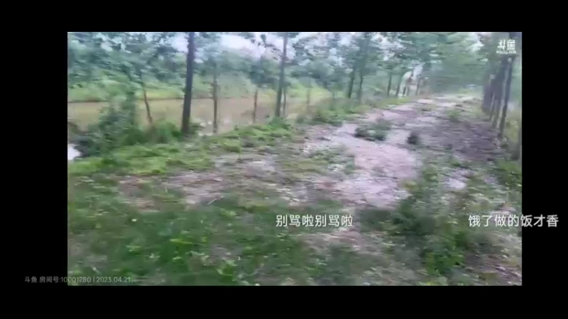 美女圆妹妹一个人捡柴火，太难了啊