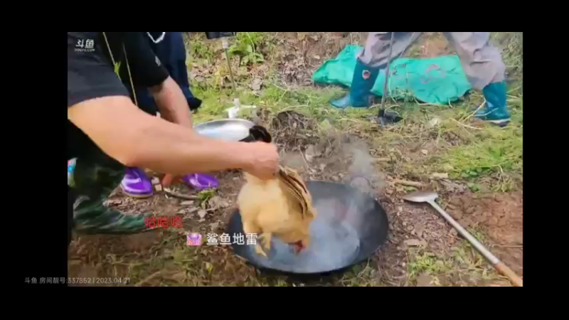 肖哥一个人拔鸡毛还是专业的