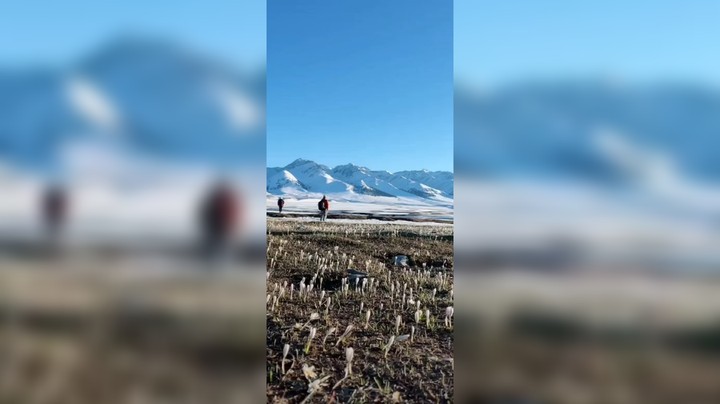 我想和我爱的那个人看遍不同经纬度城市的日升日落