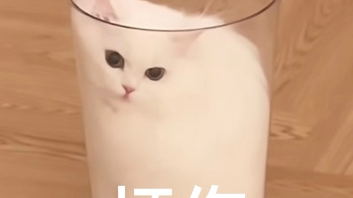 少爷夫人又振到刀了555