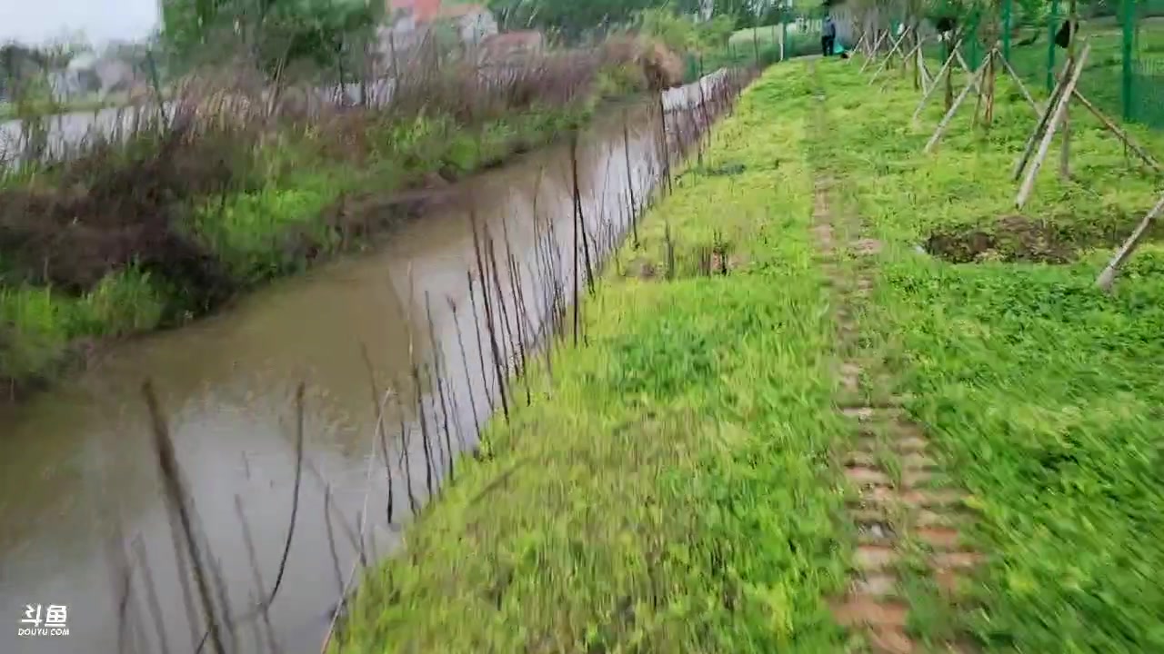 【2023-04-22 16点场】洪湖小肖：一直玩一直爽day16