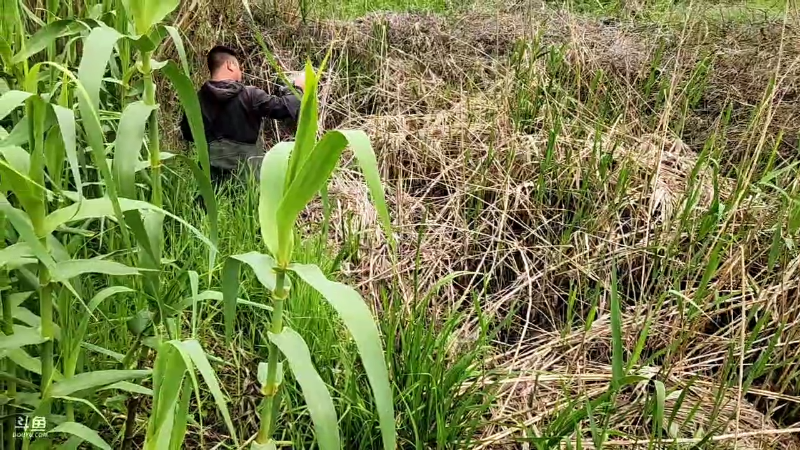 【户外】微山湖捕鱼武工队的精彩时刻 20230423 10点场