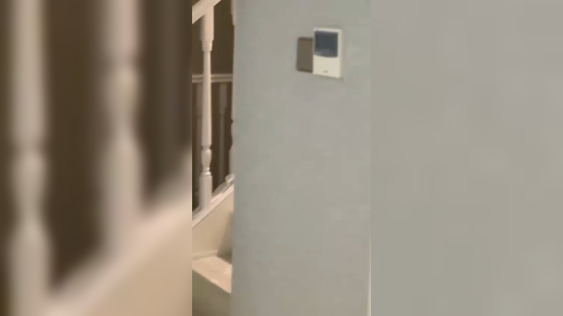 你也想被我揍一顿嘛