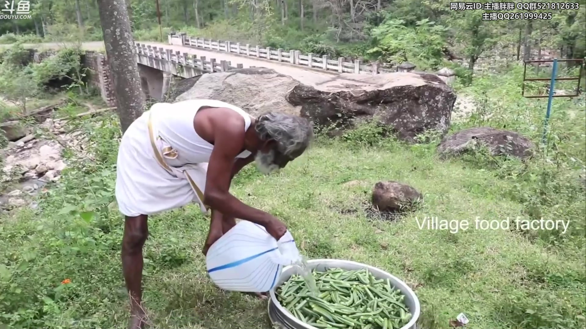 【2023-04-24 03点场】胖胖灬：胖胖OB：今晚MSI季中赛抽签！