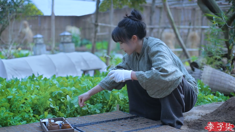 【美食】李子柒liziqi的精彩时刻 20230424 09点场